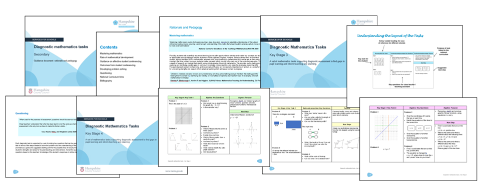 Course: Secondary Diagnostic Mathematics Tasks - product information ...